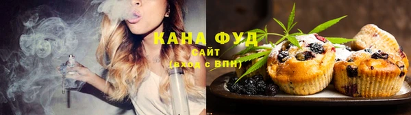 бошки Инта