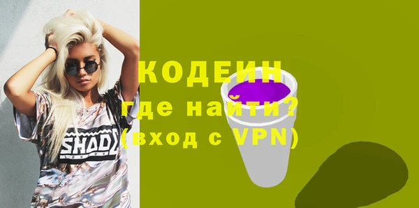 бошки Инта