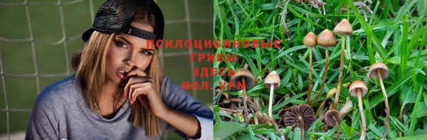 мескалин Иннополис