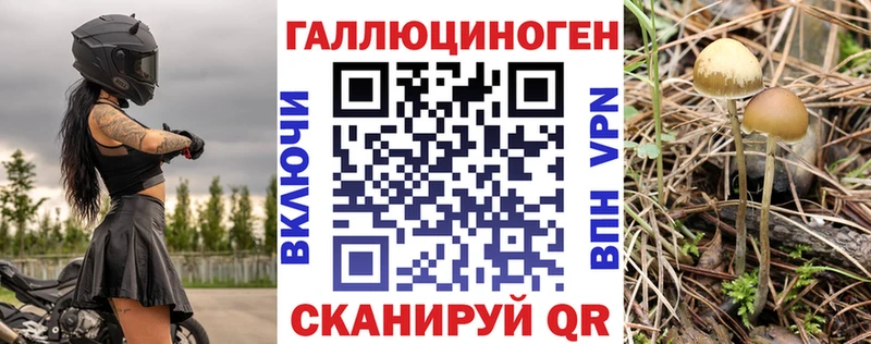 Псилоцибиновые грибы Psilocybe  Купить где  Дальнереченск 