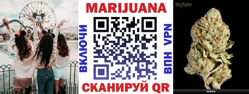 Шишки марихуана план  Купить где  Дальнереченск 